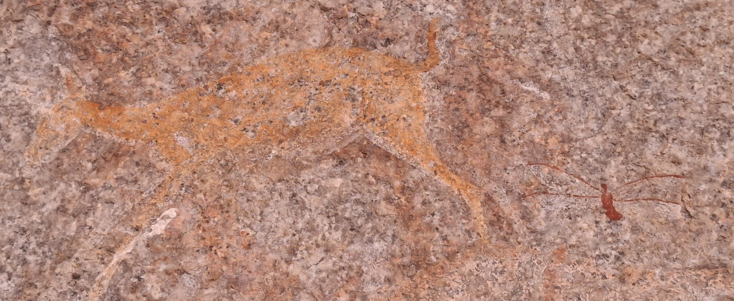 Silozwane Cave Paintings