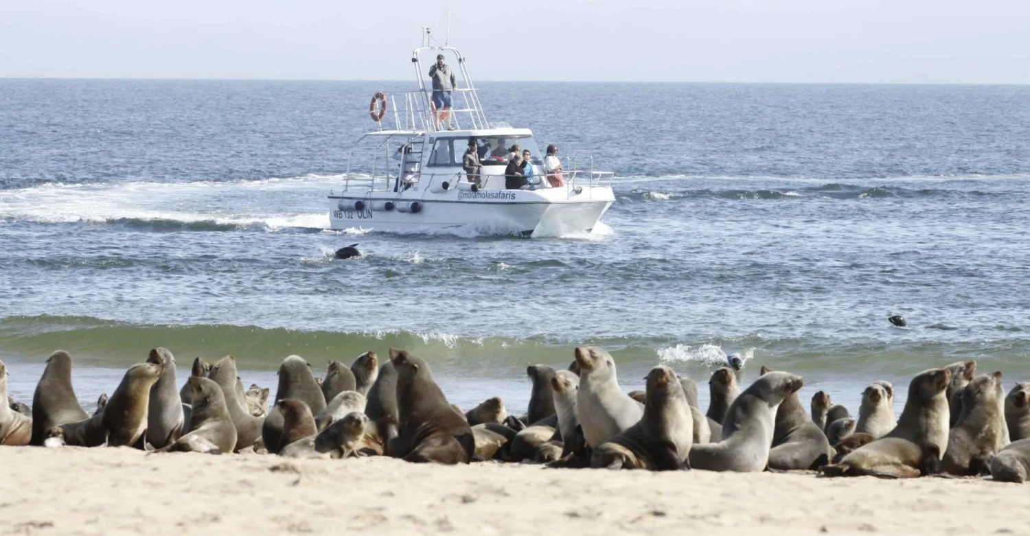 Walvis Bay, Namibia, Atlantic Ocean