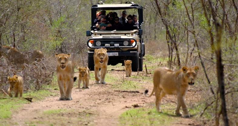 Kruger National Park
