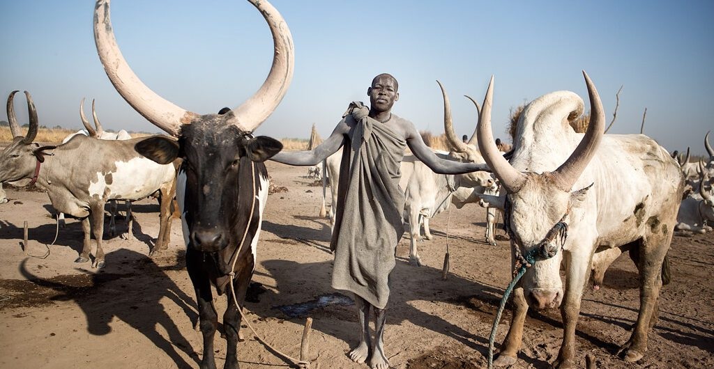 Tourism in South Sudan