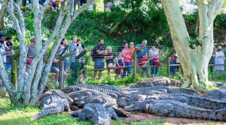 Crocworld Adventure & Conservation Centre.